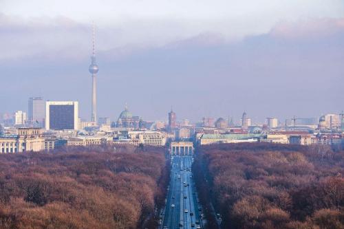 190120 HAGOLANI SHAG7240